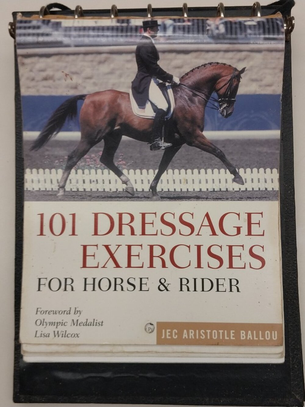 101 DRESSAGE EXERCISES For Horse and Rider By Olympic Medalist Lisa Wilcox